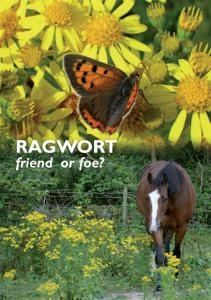 [Ragwort_-_fof_web%255B3%255D.jpg]