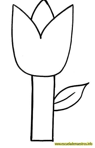 [primavera-tulipan-01%255B2%255D.jpg]