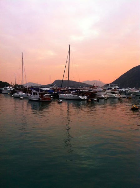 IMG_1359.jpg IMG 1359