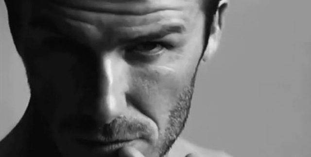 david