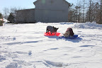 At this rate, we might even consider organizing a Doggie Olympics.