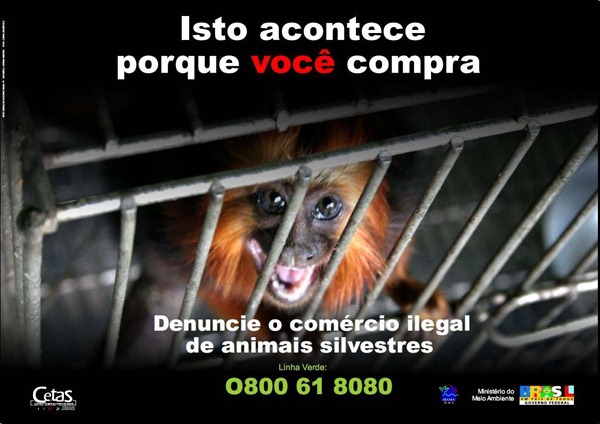 [maus_tratos4%255B4%255D.jpg]