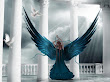 Angel In Holy Light