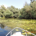 DSCN3037.JPG