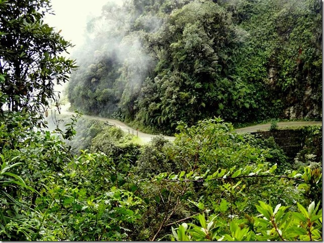 North_Yungas_DSC00736 North_Yungas_DSC00736