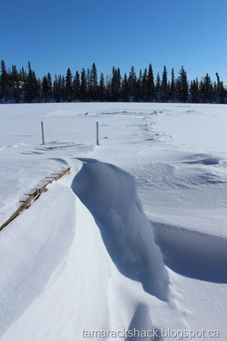 [snow1%255B10%255D.jpg]