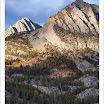 NorthLakeFallAspensRidge20101002.jpg