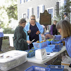 2006 Chamber Fall Festival