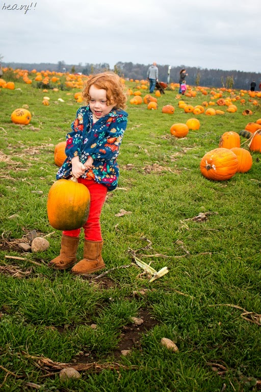 [IMG_1999%255B13%255D.jpg]