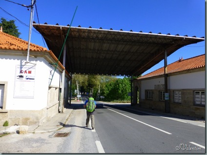 P1030325 P1030325