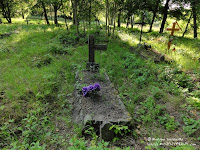 Cmentarz przy ul. Samotnej w Poznaniu