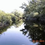 DSCN4471-MOTION.gif
