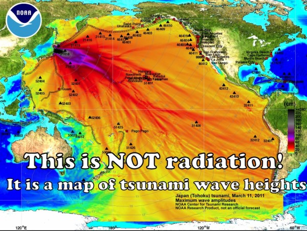 'This is NOT radiation! It is a map of tsunami wave heights.' This image was created by NOAA's Center for Tsunami Research and graphically shows maximum wave heights (in centimeters or cm) of the tsunami generated by the Japan earthquake on 11 March 2011. Graphic: NOAA