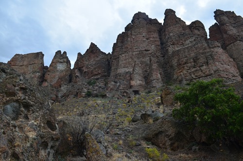 the mud flow lahar created Palisade Cliffs, filled with fossils