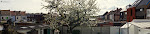 Spring in the city