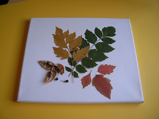 DSCN4705.JPG