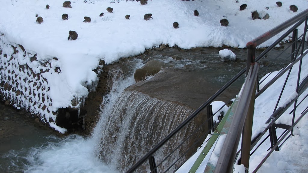 [IMG_4249%255B3%255D.jpg]