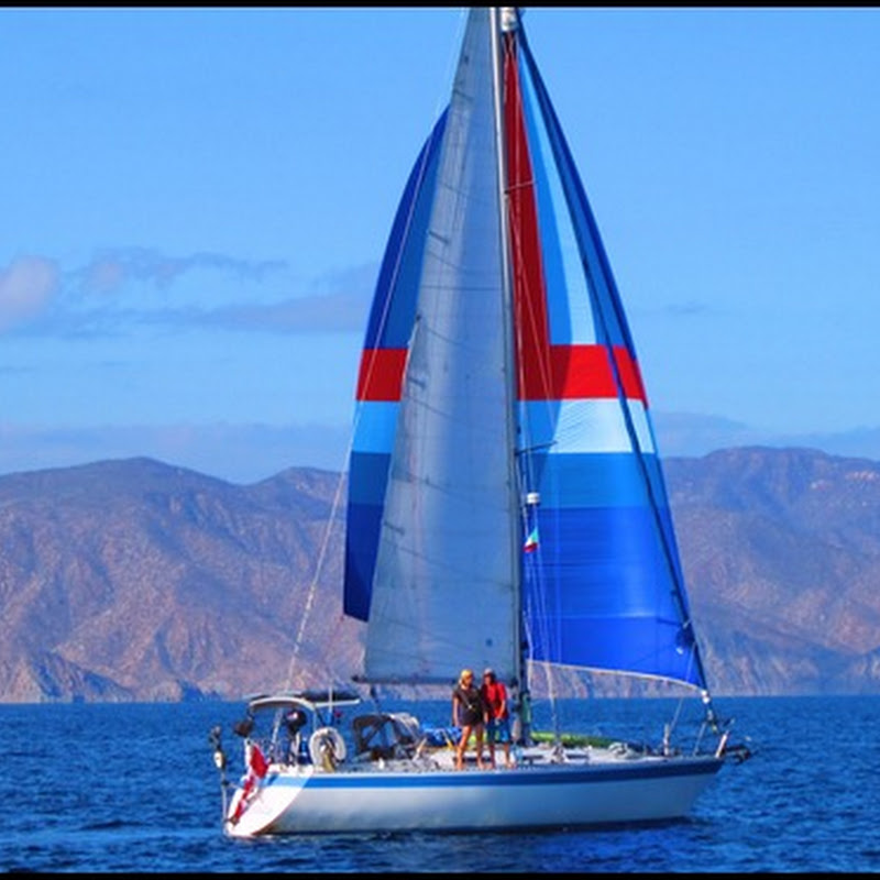 Images from the Sea of Cortez