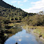 Geothermal Stream - Waimangu, New Zealand