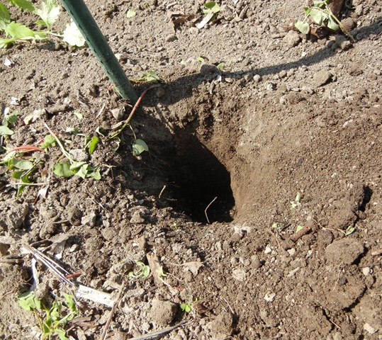 [Hole4.jpg]