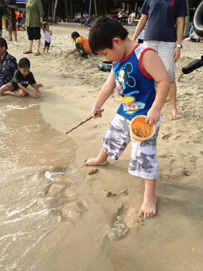 IMG_7965.jpg IMG_7965.jpg