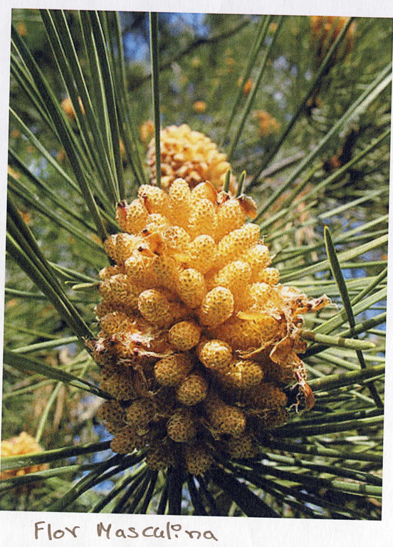 [image%255B22%255D.png]