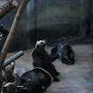 hokkaido_593.jpg