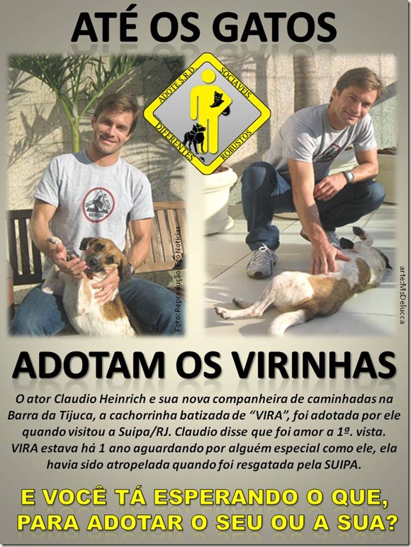 gatos_viras