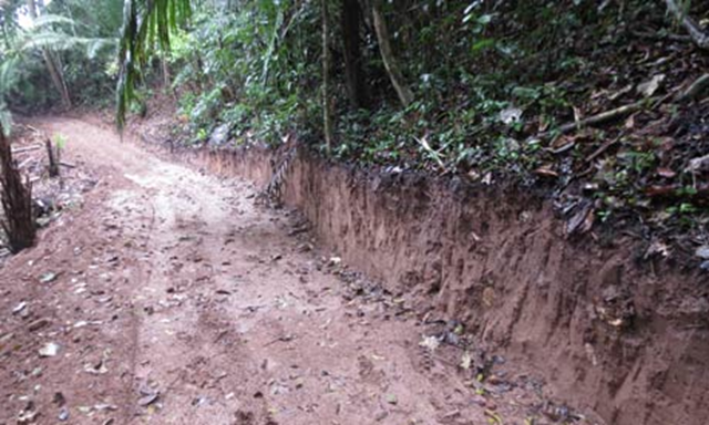 An illegal road running towards the Purus National Park which could connect the remote Purus region to the rest of Peru. Photo: RCP / SERNANP