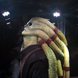 DSC00563.JPG