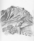 day007.jpg