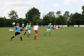 IMG_4146.jpg