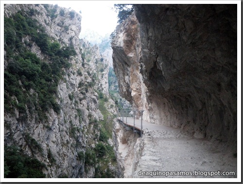 Poncebos-Canal de Trea-Jultayu 1940m-Lagos de Covadonga (Picos de Europa) 5091