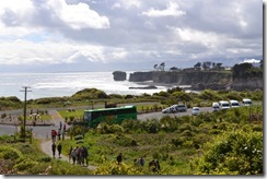 DSC_3117 DSC_3117