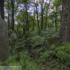 HDR krakow jewish cemetry.jpg