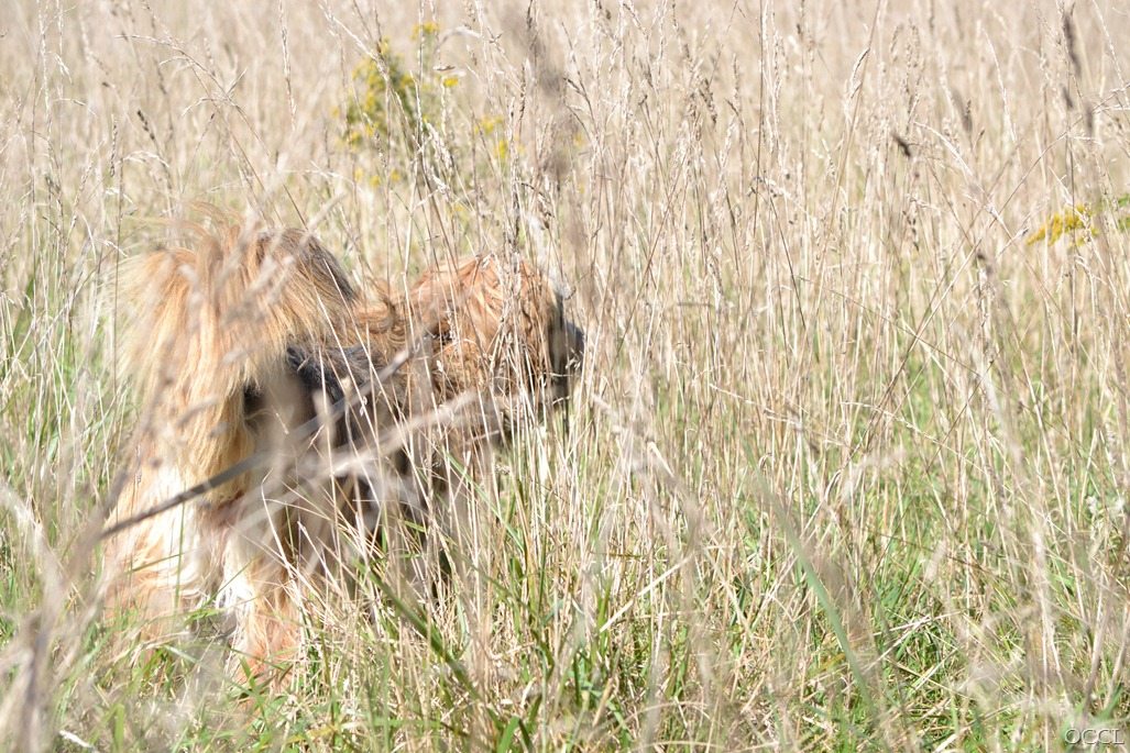[DSC_3693%255B7%255D.jpg]