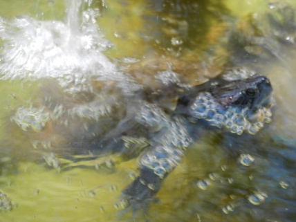 DSCN1059.jpg DSCN1059