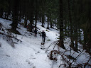 PA230157.JPG