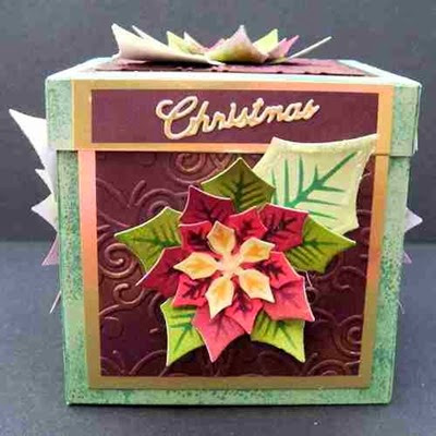 PoinsettiaBox24