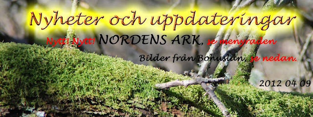 Nyheter april 2012