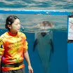 hokkaido_423.jpg