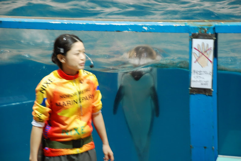 hokkaido_423.jpg