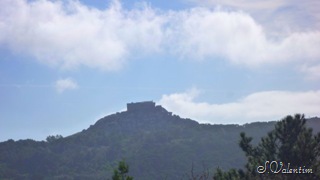 [P1200247%255B5%255D.jpg]