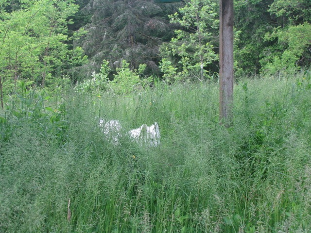 [IMG_1427%255B4%255D.jpg]