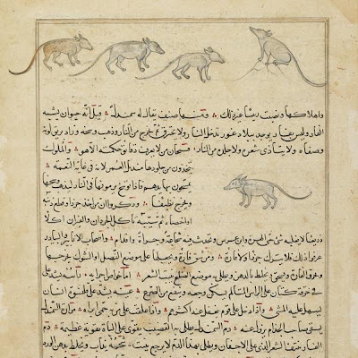 Folio from Aja'ib al-makhluqat (Wonders of Creation) by al-Qazvini; recto: Mice (Far); verso: text | Origin: Iraq or Eastern Turkey | Period: early 15th century | Details: Not Available | Type: Opaque watercolor, ink and gold on paper | Size: H: 32.7 W: 22.4 cm | Museum Code: F1954.113 | Photograph and description taken from Freer and the Sackler (Smithsonian) Museums. 156f7f27dbc849c08288374f3bcdc275.jpg