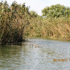 IMG_8048.JPG