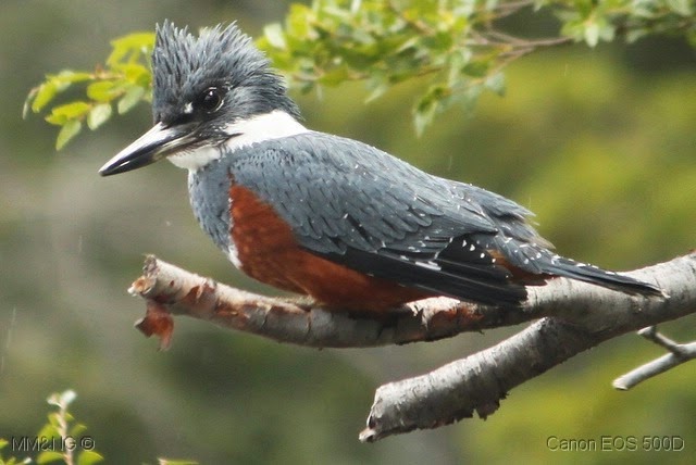 [IMG_3533%255B17%255D.jpg]