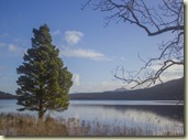 03.Muckross lake 03.Muckross lake