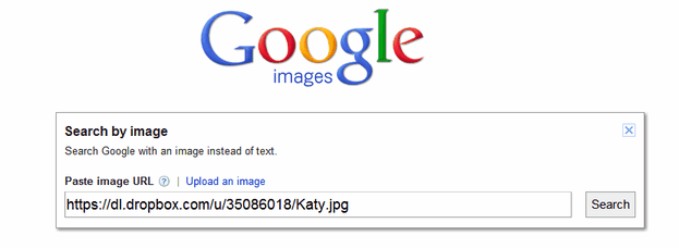 google image search