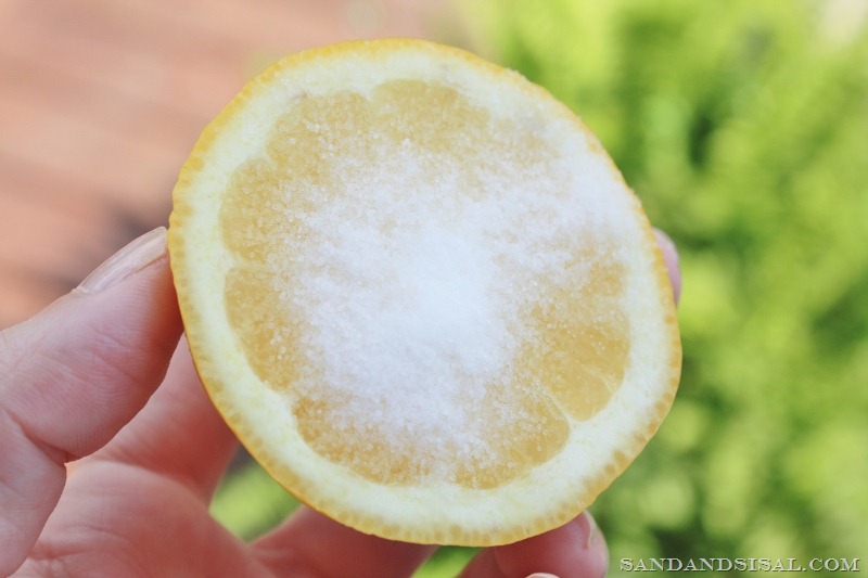 [Salt%2520on%2520lemon%2520%2528800x533%2529%255B4%255D.jpg]